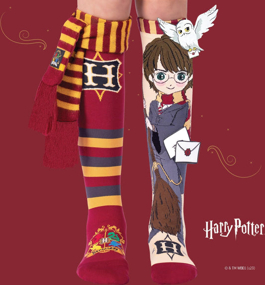Ilgos raudonos ir auksinės (geltonos) spalvų kojinės su Hario Poterio tematika – papuoštos Grifų Gūžtos herbu, Hedvigos atvaizdu ir magiško laiško detalėmis.